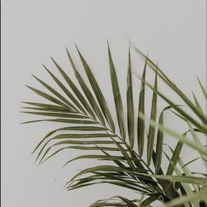 Meet your Posher, Christian